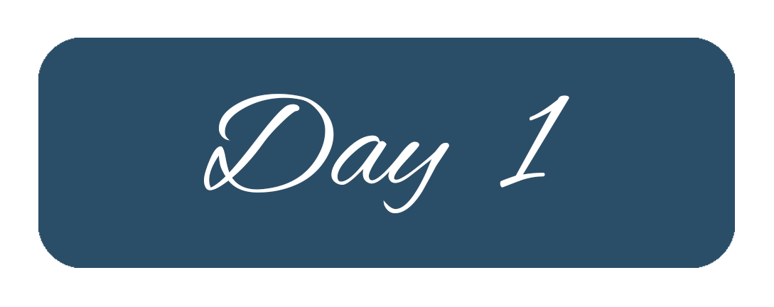 Day1